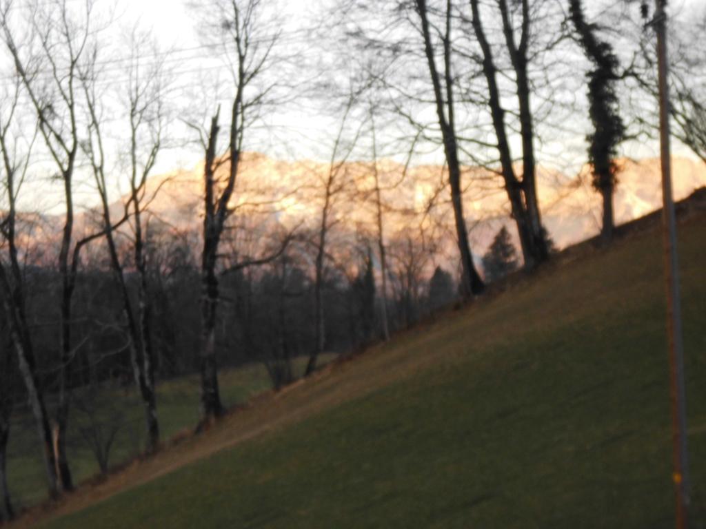 Apartmán Goellblick Sankt Koloman Exteriér fotografie