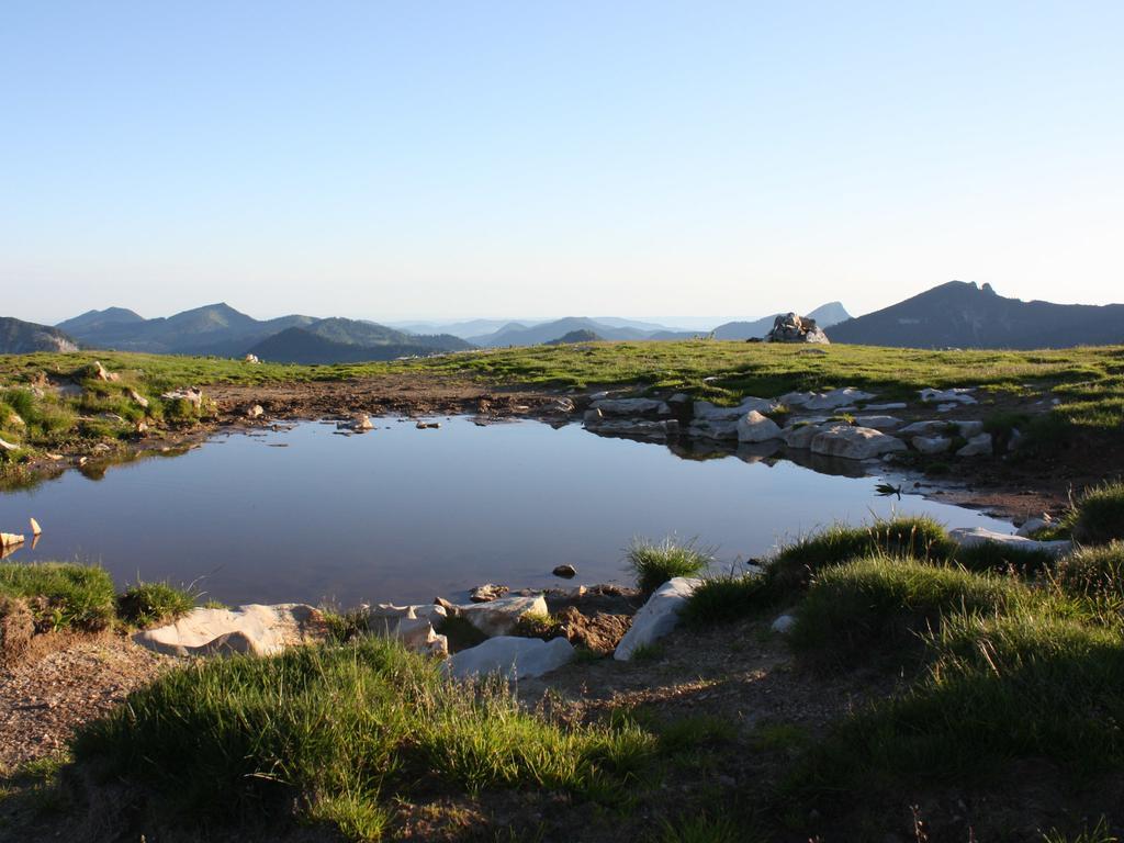 Apartmán Gollblick Sankt Koloman Exteriér fotografie